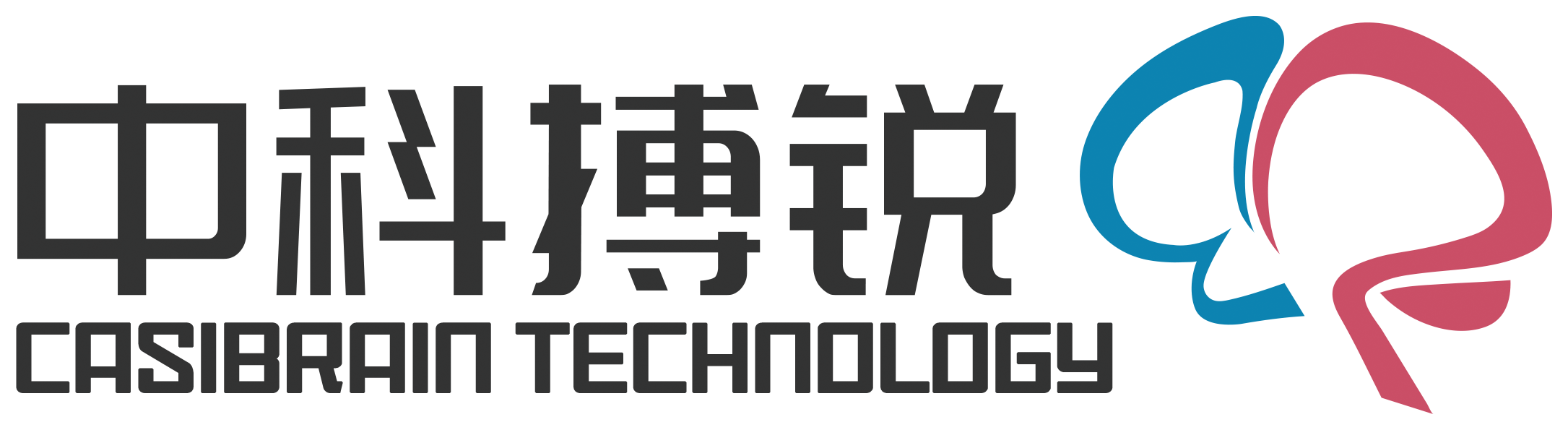 Casibrain Technology logo